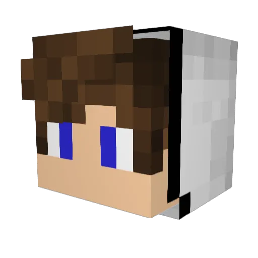 Sytrex_ Minecraft avatar head, 3D render