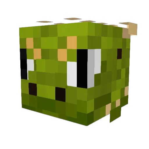 Syvriux43 Minecraft avatar head, 3D render