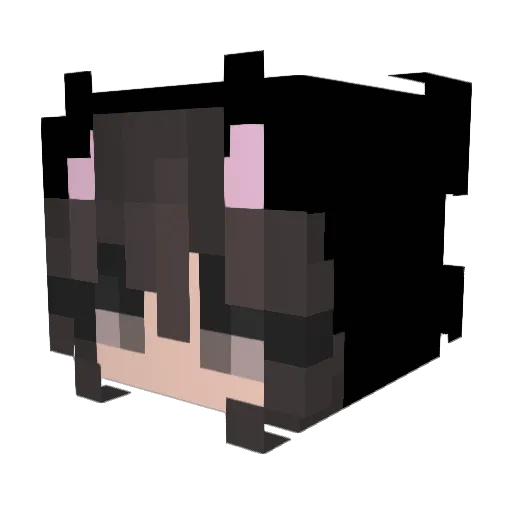 Sywrez Minecraft avatar head, 3D render