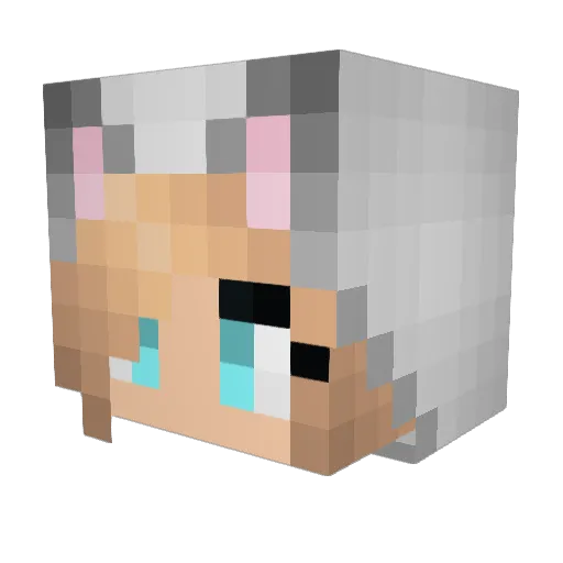 Syynrod7_ Minecraft avatar head, 3D render