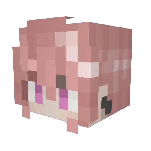 Syzygy0 Minecraft avatar head, 3D render