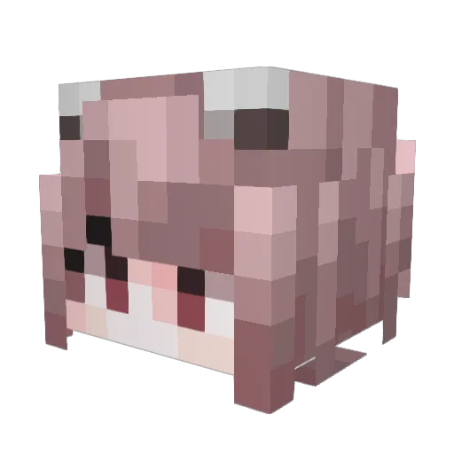 Sz_Jm Minecraft avatar head, 3D render