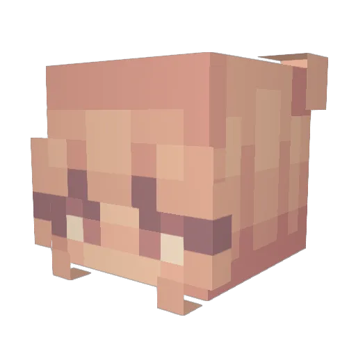 Szamy123 Minecraft avatar head, 3D render