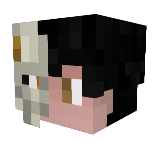 Szelkbtw Minecraft avatar head, 3D render