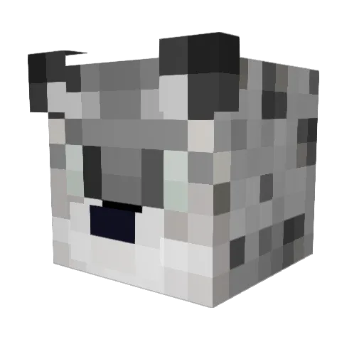Szlachcic_PL Minecraft avatar head, 3D render