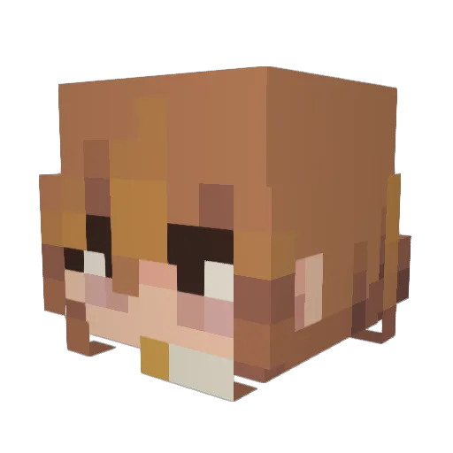 Szluug_ Minecraft avatar head, 3D render