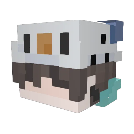 Szop__ Minecraft avatar head, 3D render