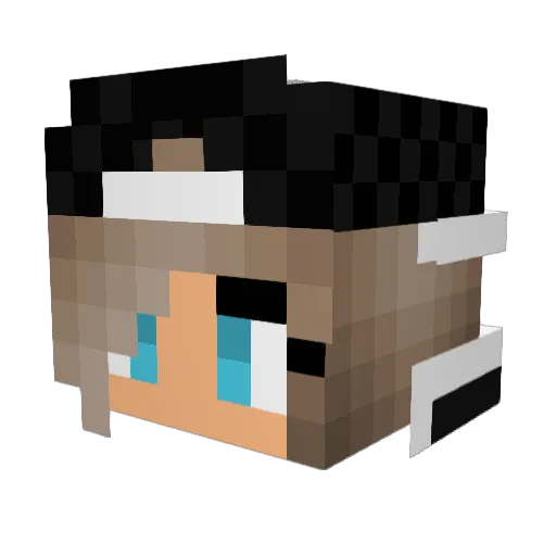 Szopy Minecraft avatar head, 3D render