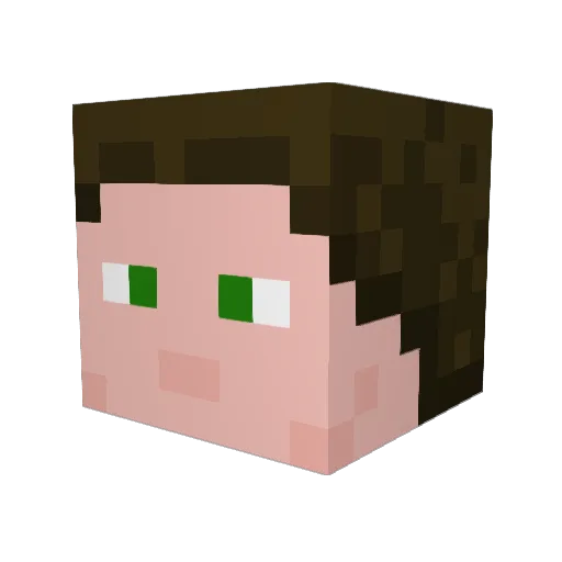 Szotrab0 Minecraft avatar head, 3D render