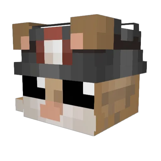 Szpadell_ Minecraft avatar head, 3D render
