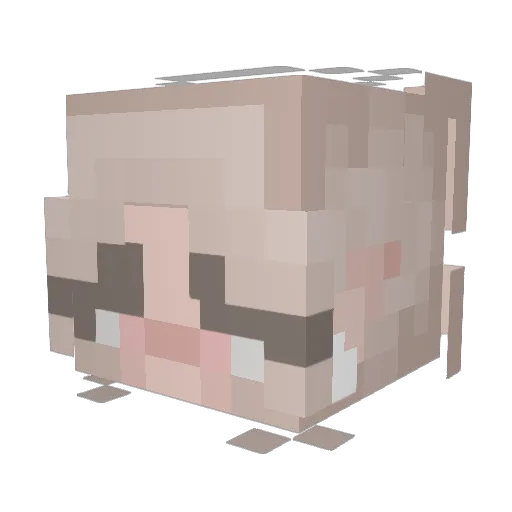 Szpulkaa Minecraft avatar head, 3D render