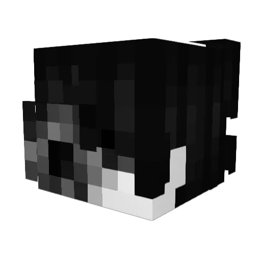Szrcasm Minecraft avatar head, 3D render