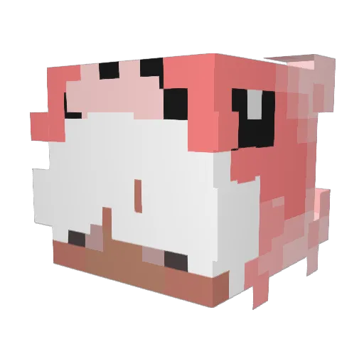 Szumiolekk Minecraft avatar head, 3D render