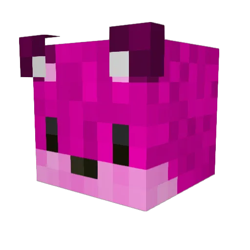 Szvajner Minecraft avatar head, 3D render