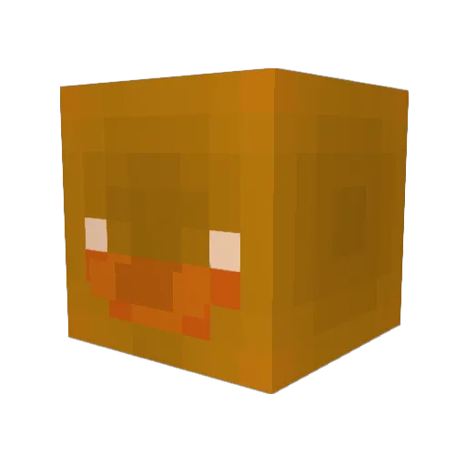 SzymonnekxD Minecraft avatar head, 3D render