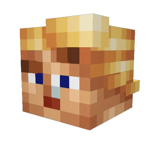 Szympek17 Minecraft avatar head, 3D render