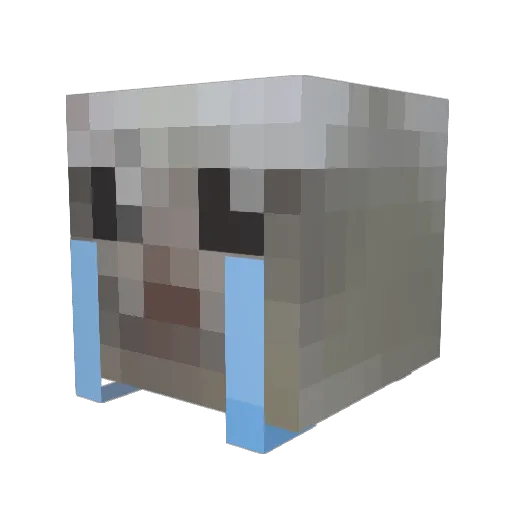T00LS Minecraft avatar head, 3D render