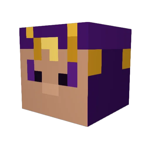 T00frost Minecraft avatar head, 3D render