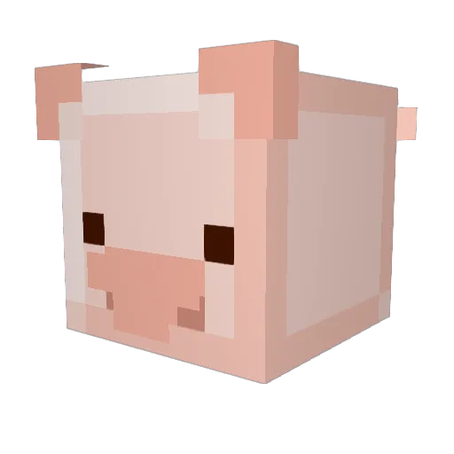T00fus Minecraft avatar head, 3D render