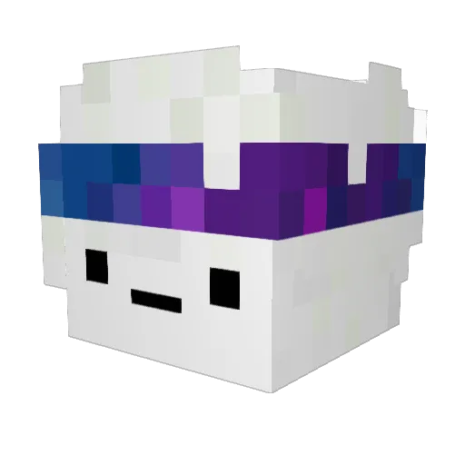 T07_ Minecraft avatar head, 3D render