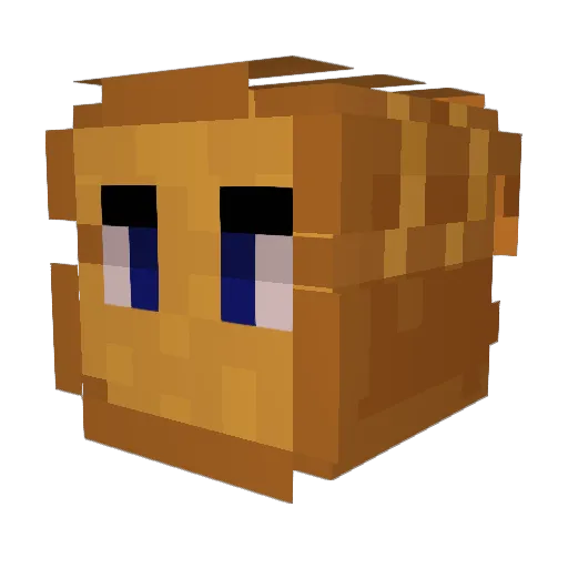 T0ASTYYY_ Minecraft avatar head, 3D render