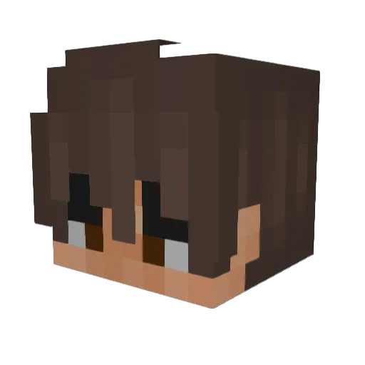 T0K1A Minecraft avatar head, 3D render