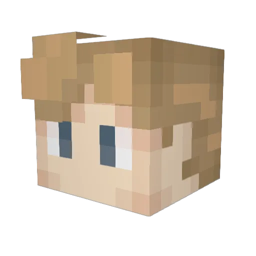 T0M1O1 Minecraft avatar head, 3D render