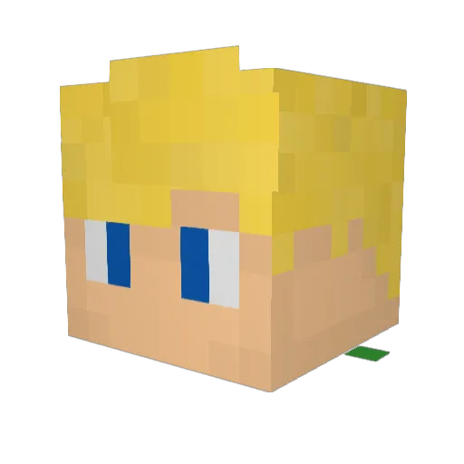 T0M3N_ Minecraft avatar head, 3D render