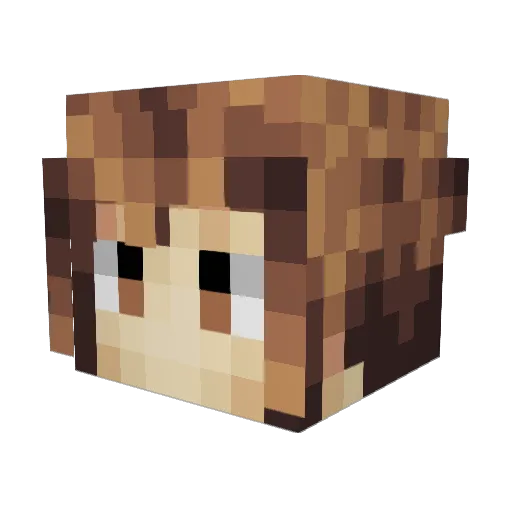 T0MIMI Minecraft avatar head, 3D render