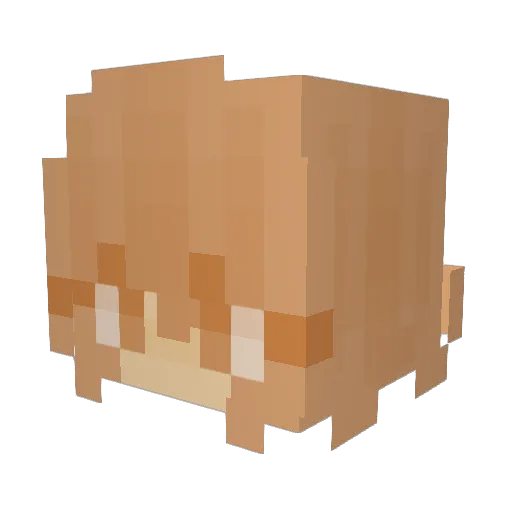 T0NICs Minecraft avatar head, 3D render