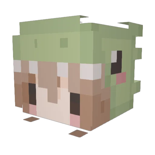 T0PH4TC4T Minecraft avatar head, 3D render