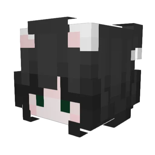 T0RT0lSE Minecraft avatar head, 3D render