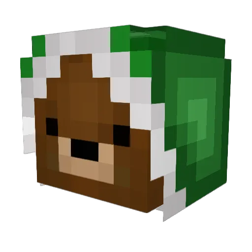 T0XIC_BEAR Minecraft avatar head, 3D render