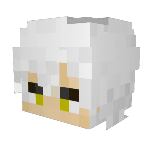 T0Y0urEternity Minecraft avatar head, 3D render