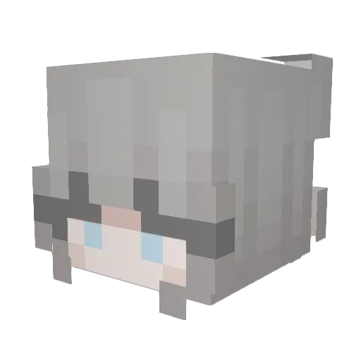 T0YLESS Minecraft avatar head, 3D render