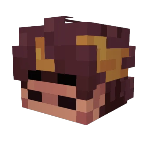 T0aste_yl Minecraft avatar head, 3D render