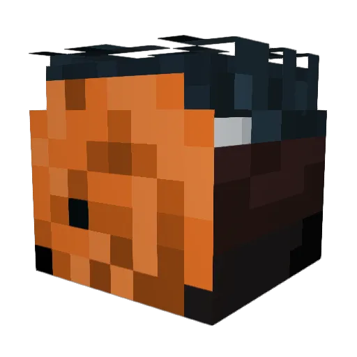 T0bi11 Minecraft avatar head, 3D render