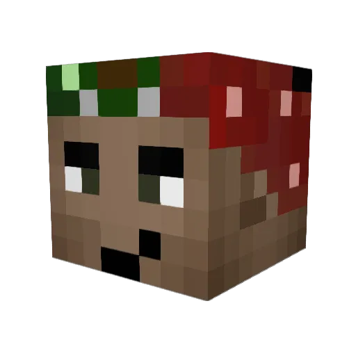 T0ika Minecraft avatar head, 3D render