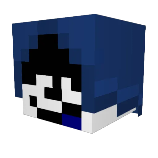 T0k3nb0y Minecraft avatar head, 3D render