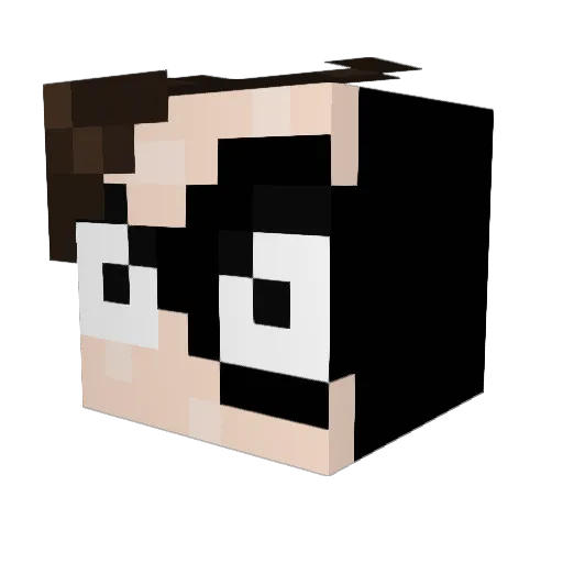 T0lgish Minecraft avatar head, 3D render