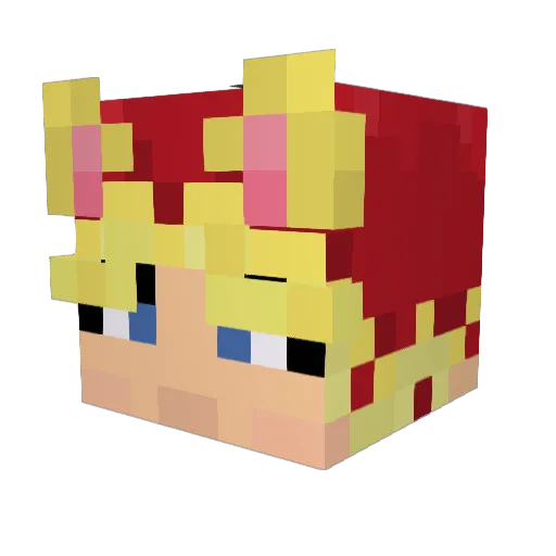 T0matoCat Minecraft avatar head, 3D render