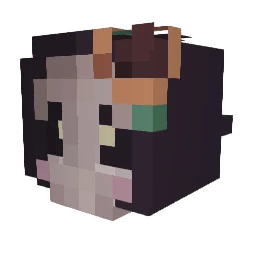 T0mb5ton3 Minecraft avatar head, 3D render