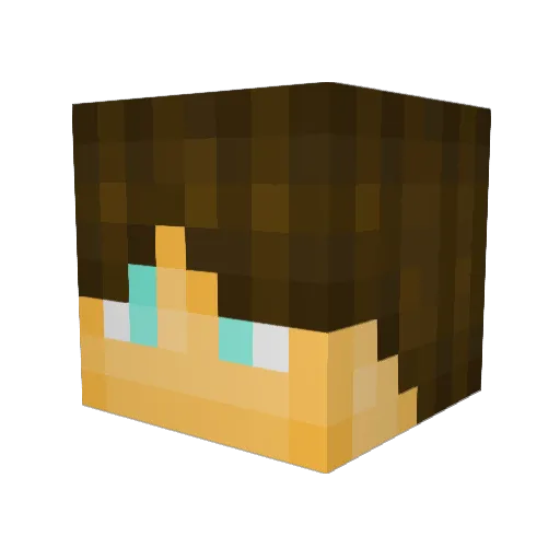 T0miiii Minecraft avatar head, 3D render