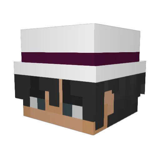 T0mmyyy_ Minecraft avatar head, 3D render