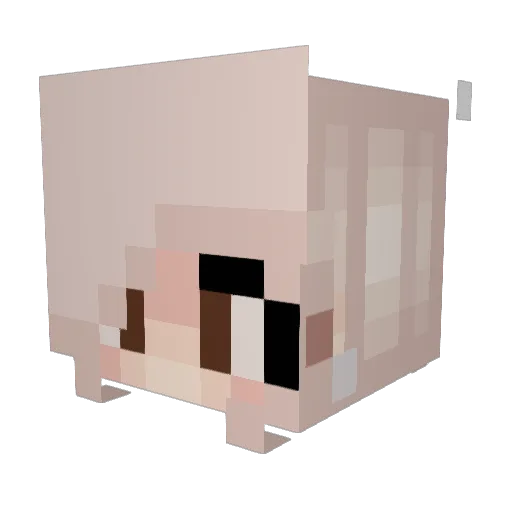 T0ro Minecraft avatar head, 3D render