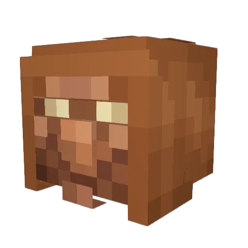 T0st_ Minecraft avatar head, 3D render