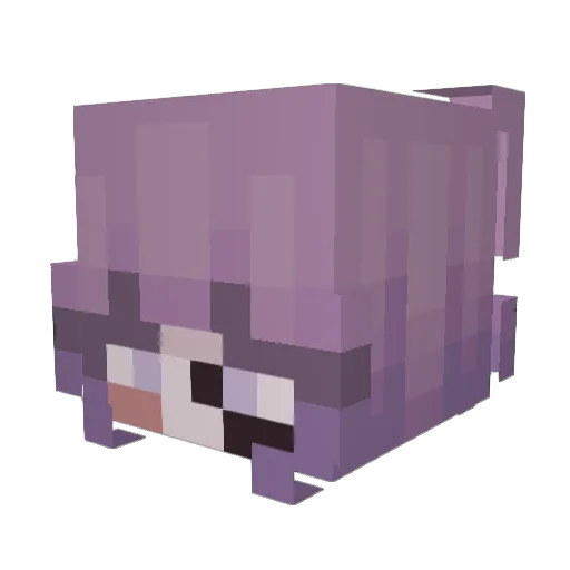 T0ta1ly_3tar Minecraft avatar head, 3D render
