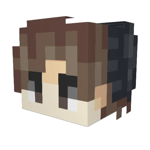 T0wards Minecraft avatar head, 3D render