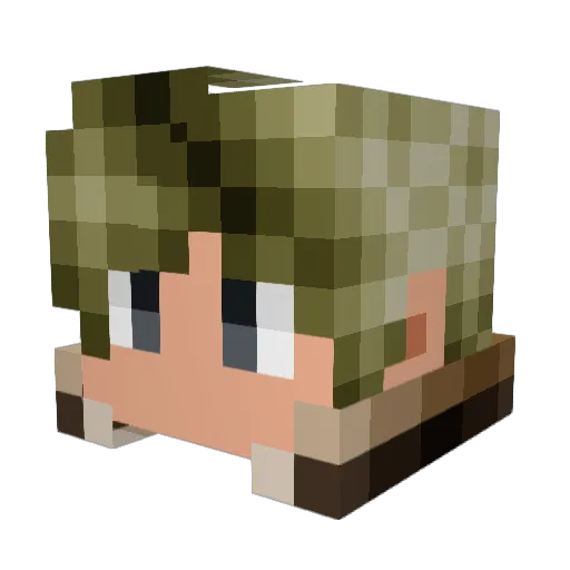T0werBxtch Minecraft avatar head, 3D render