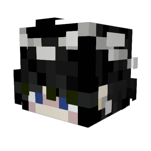 T0xica_ Minecraft avatar head, 3D render